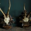 Set of 2 antique deer antlers mounted on exclusive hand carved panels.