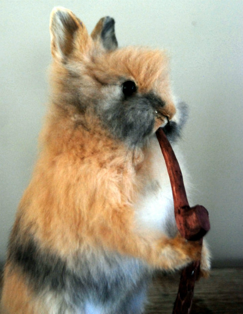 Stuffed rabbit.