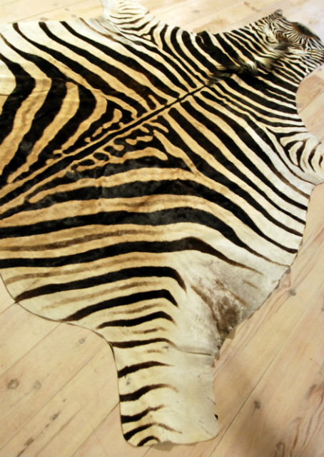 A grade zebra skins