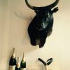 Imposing stuffed head and Nguni bull