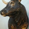 Imposing stuffed head and Nguni bull