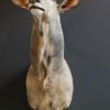 Imposing stuffed head of a kudu.