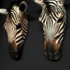 Mooie recent opgezette koppen zebra's