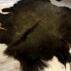 Exclusive beautiful black bear rugs with stuffed head