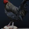 Stuffed rooster