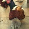 Stuffed pheasant heads