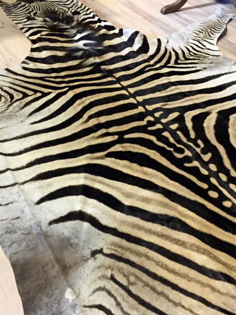New A-grade zebra skin