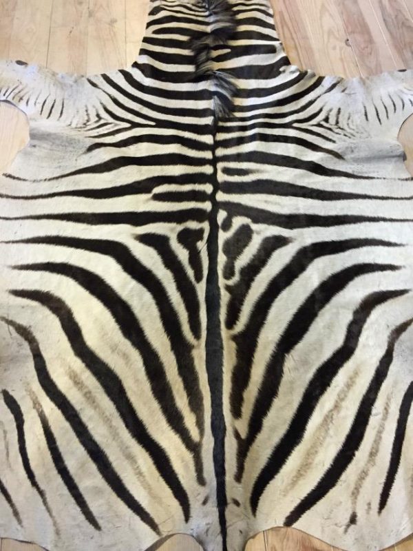 New A-grade zebra skin