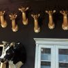 New stuffed heads of impalas