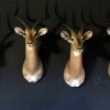 New stuffed heads of impalas