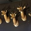 New stuffed heads of impalas