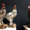 Recently stuffed large roosters