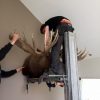 Huge stuffed head of a Canadian moose.