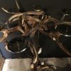 Candle holder made of deer antlers