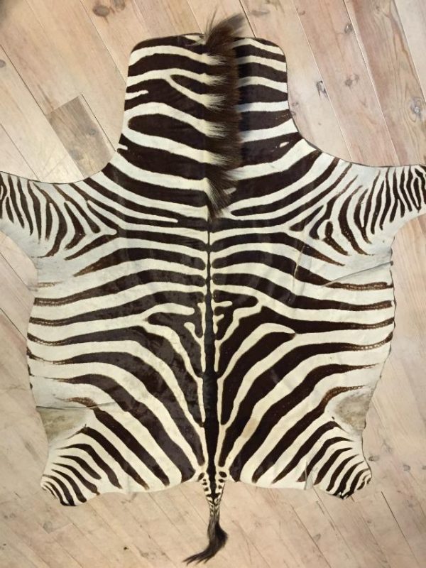 Top quality zebra skin