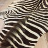 Top quality zebra skin