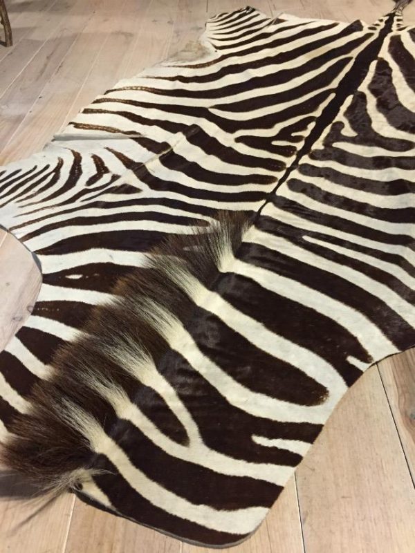 Top quality zebra skin