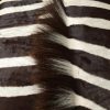 Top quality zebra skin