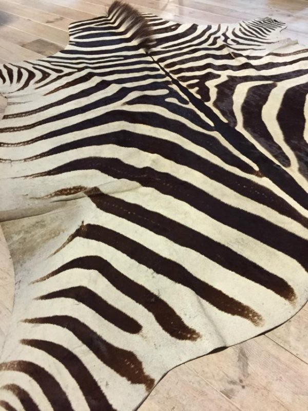 Top quality zebra skin