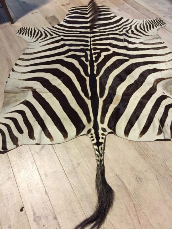 Top quality zebra skin