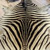 Vintage zebrahuid