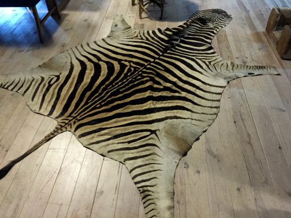 Vintage zebra skin