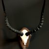 Skull of a impala.