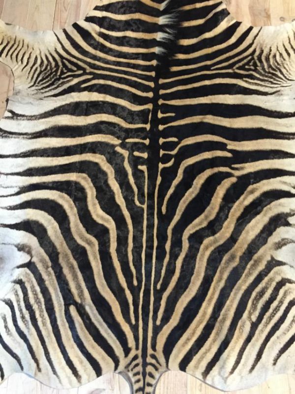 New soft tanned zebra skin