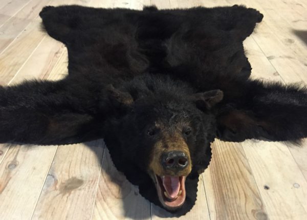 Mooie huid van een zwarte beer