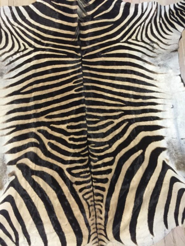 Beautiful new zebra skins