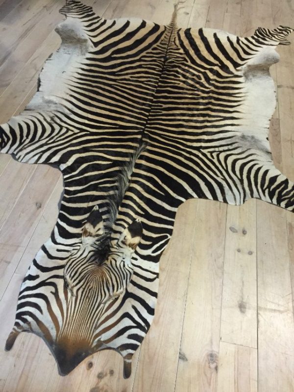 Beautiful new zebra skins