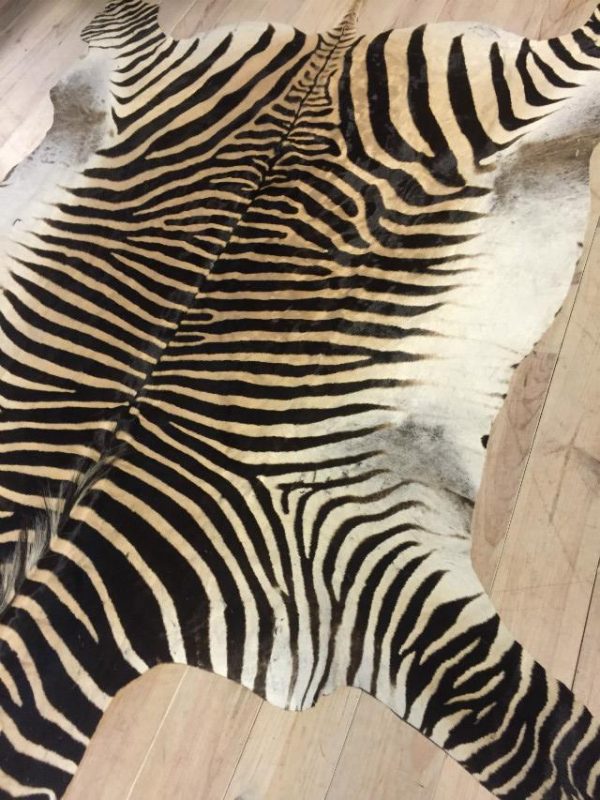 Beautiful new zebra skins