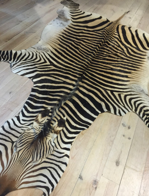 Beautiful new zebra skins.