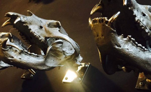 Very unique bronze casts of real bears skulls