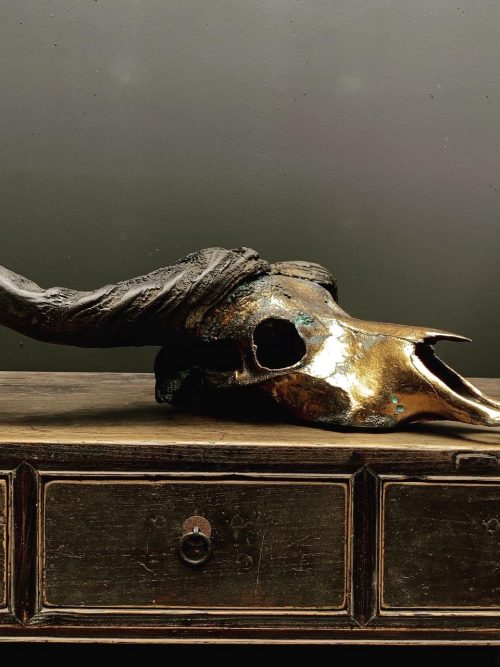 Special high quality metallized (bronze) skull of a Cape buffalo