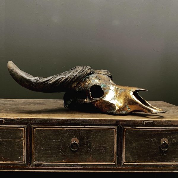 Special high quality metallized (bronze) skull of a Cape buffalo