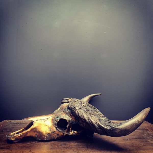 Special high quality metallized (bronze) skull of a Cape buffalo