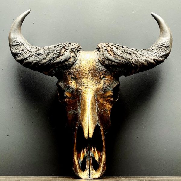 Special high quality metallized (bronze) skull of a Cape buffalo