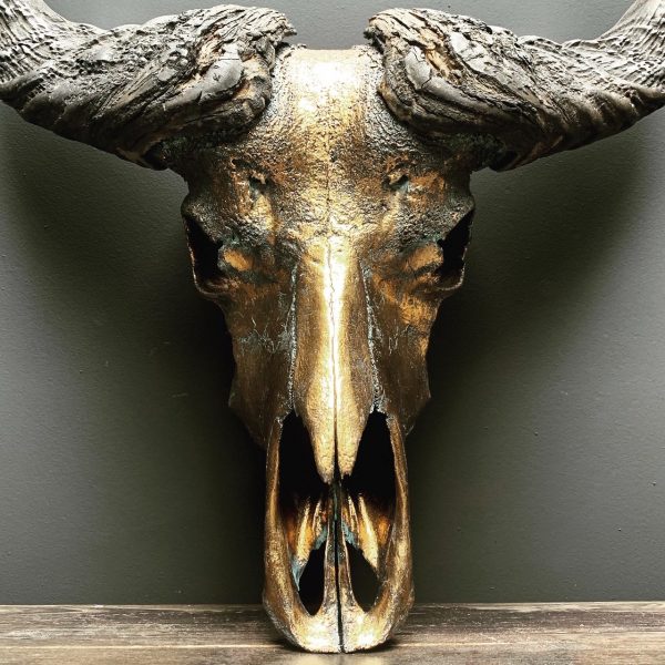 Special high quality metallized (bronze) skull of a Cape buffalo