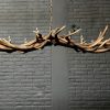 Elongated antler lamp made of red deer antlers