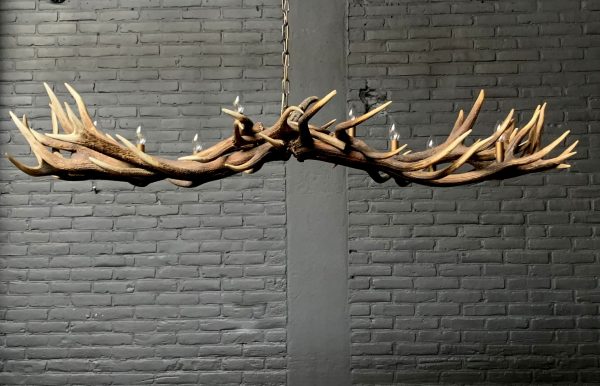 Elongated antler lamp made of red deer antlers