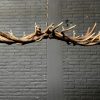 Elongated antler lamp made of red deer antlers