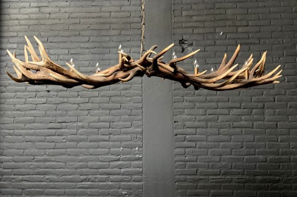 Elongated antler lamp made of red deer antlers