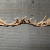 Elongated antler lamp made of red deer antlers