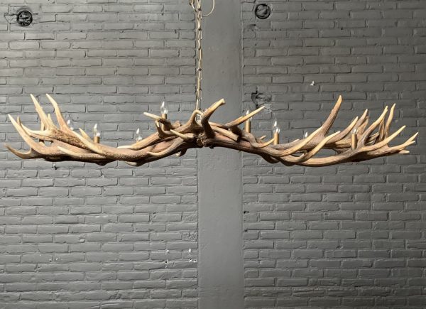 Elongated antler lamp made of red deer antlers