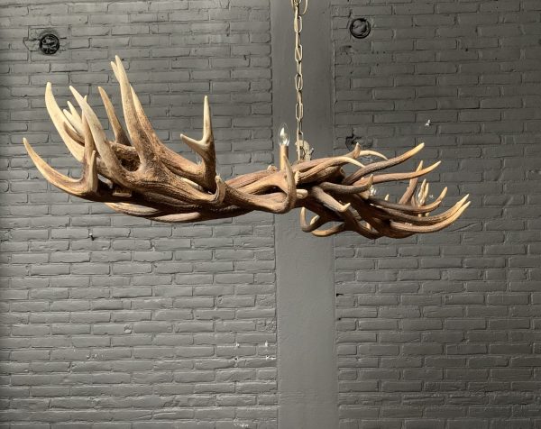 Elongated antler lamp made of red deer antlers