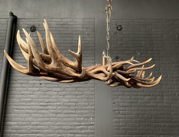 Elongated antler lamp made of red deer antlers