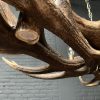 Elongated antler lamp made of red deer antlers