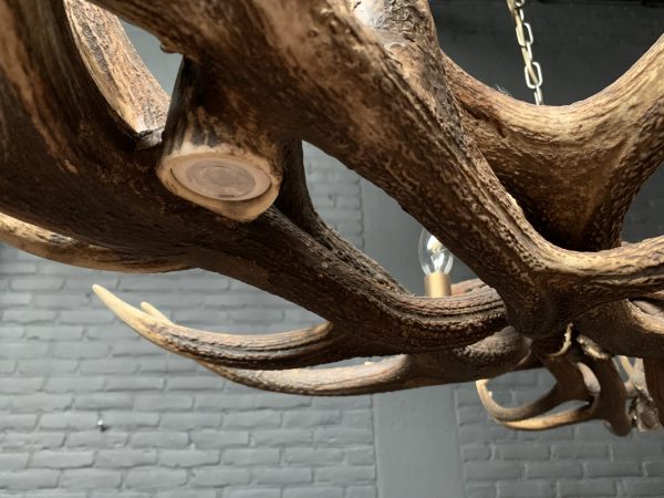 Elongated antler lamp made of red deer antlers