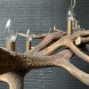 Elongated antler lamp made of red deer antlers